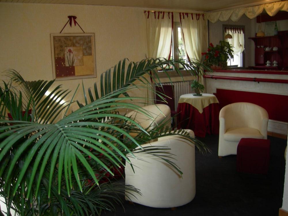 Hotel Bel Azur Six-Fours-les-Plages Dış mekan fotoğraf